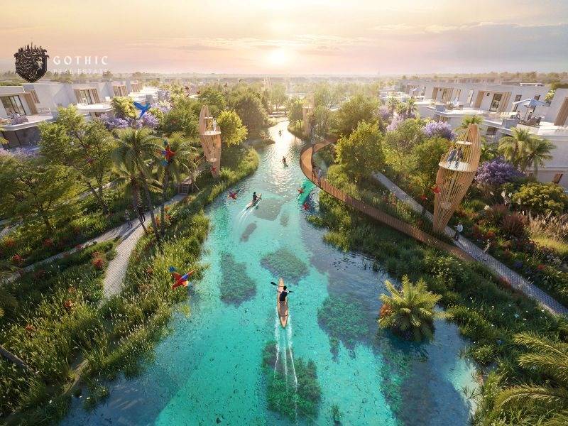 Feel The Rhythm of Island I High Demand Project I Book it Now