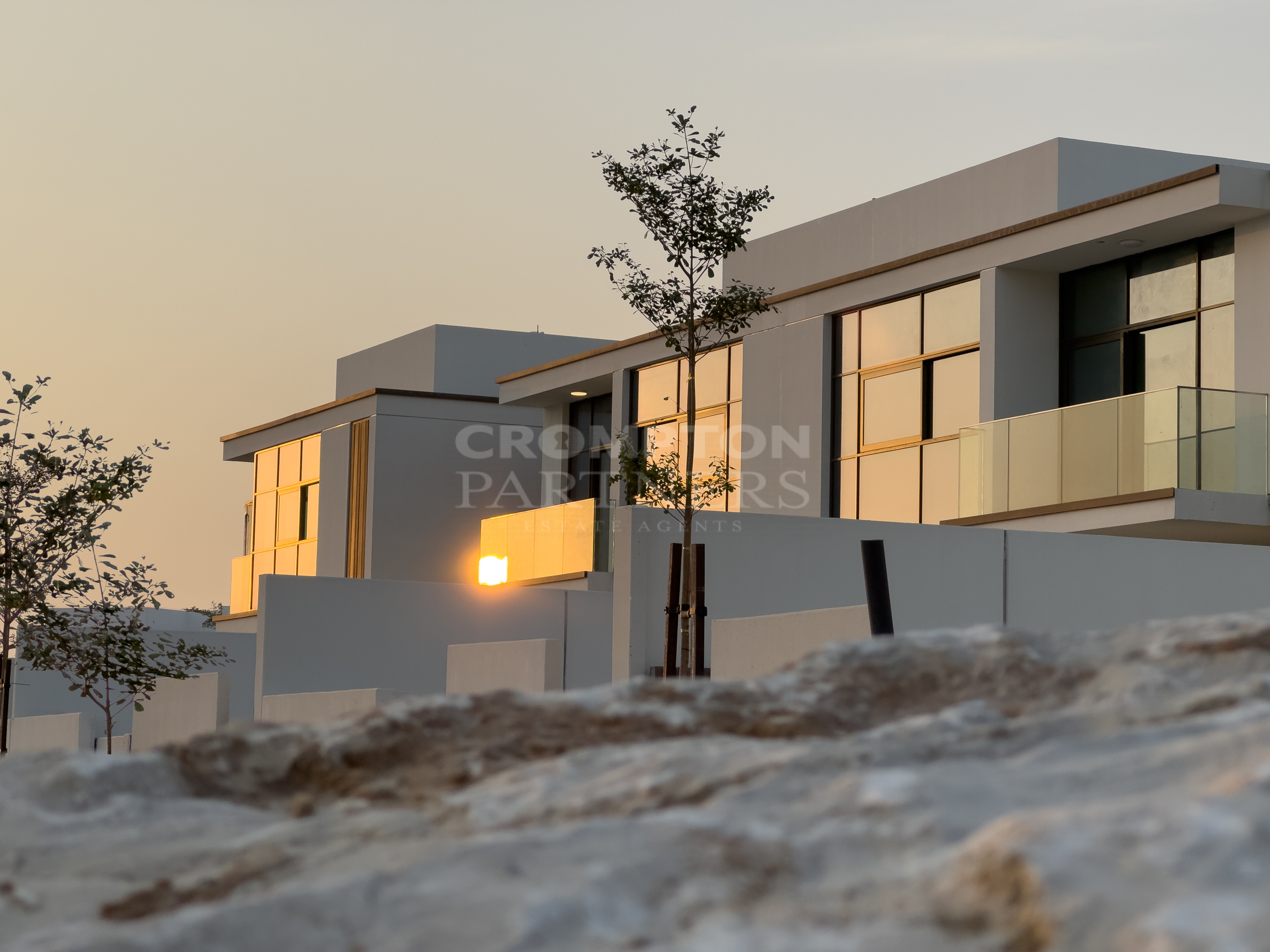 Park Sunset View | Single Row | Big Plot