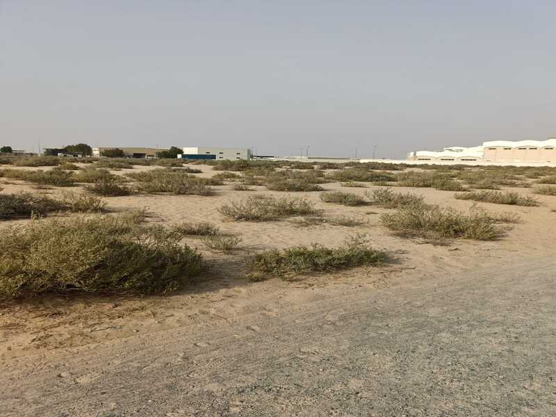 Corner plot of land for sale in Al-Arqoub area, measuring 47,120 square feet, prime location.