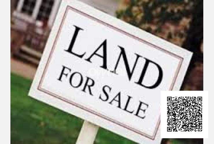 G+4 CORNER PLOT RESIDENTIAL & COMMERCIAL IDEAL LOCATION AL NAKHIL