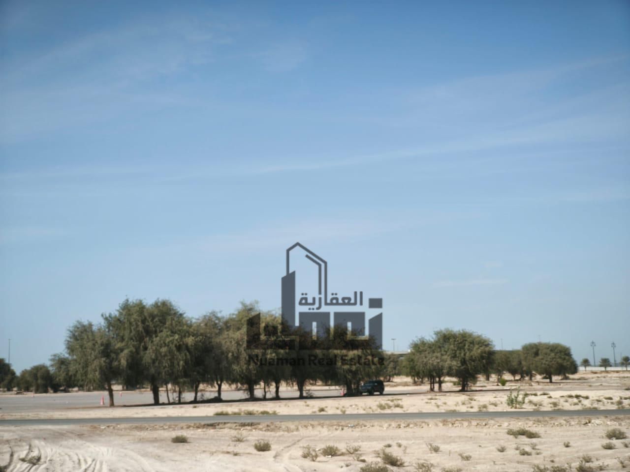 The plot offers a large area with industrial zoning and freehold ownership for all nationalities