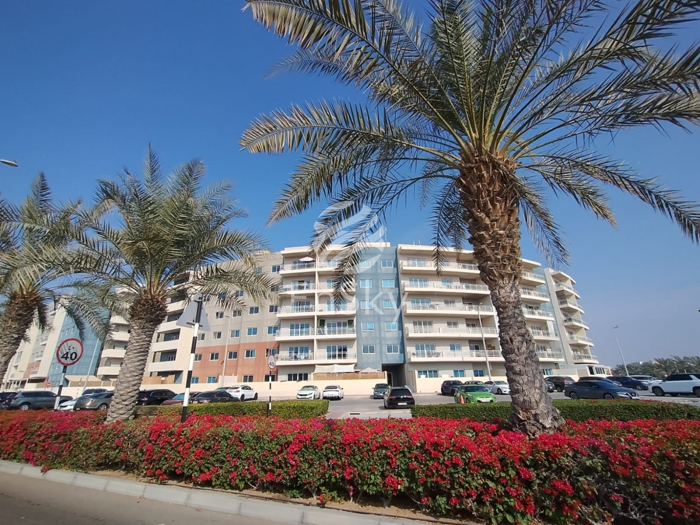 Type D | Big Layout| Rented For Sale