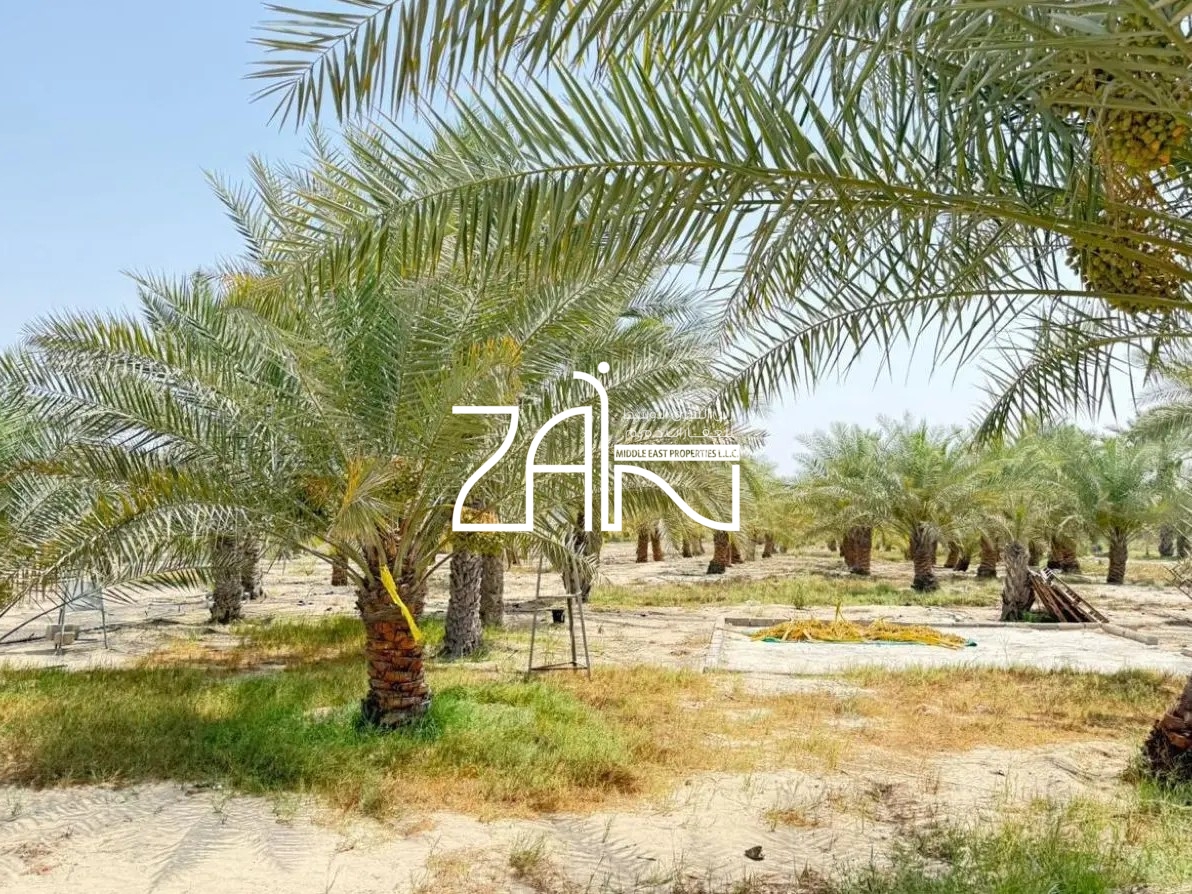 High ROI | Agricultural Plot |North Dihan