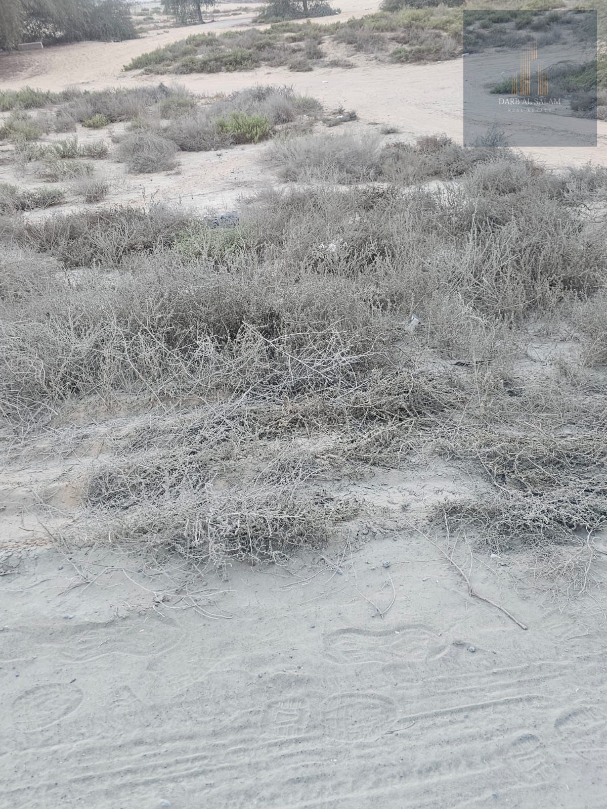 Industrial land for sale in Al Sajaa / Sharjah