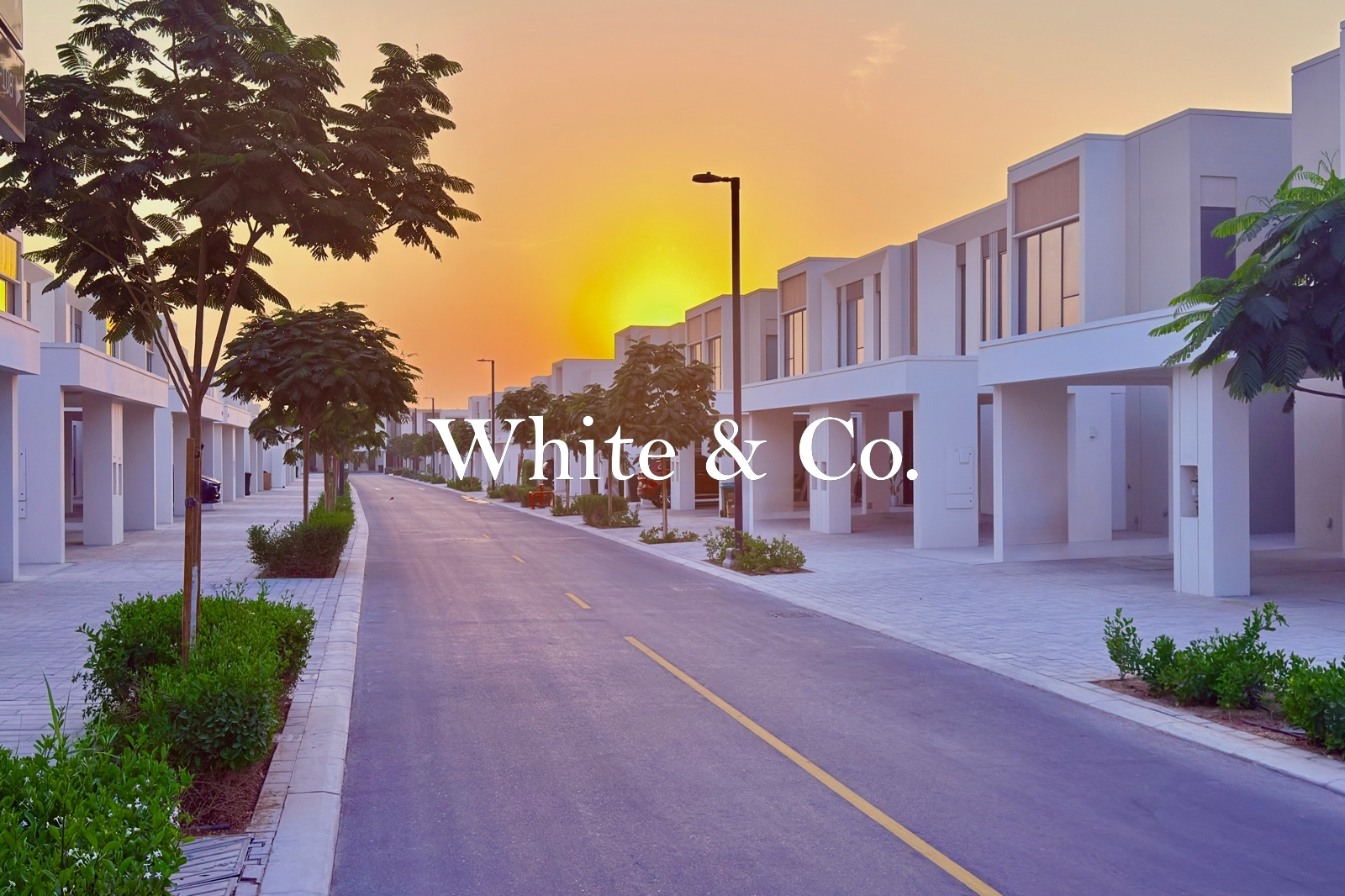 Close to Golden Beach | Elio | Vacant Now