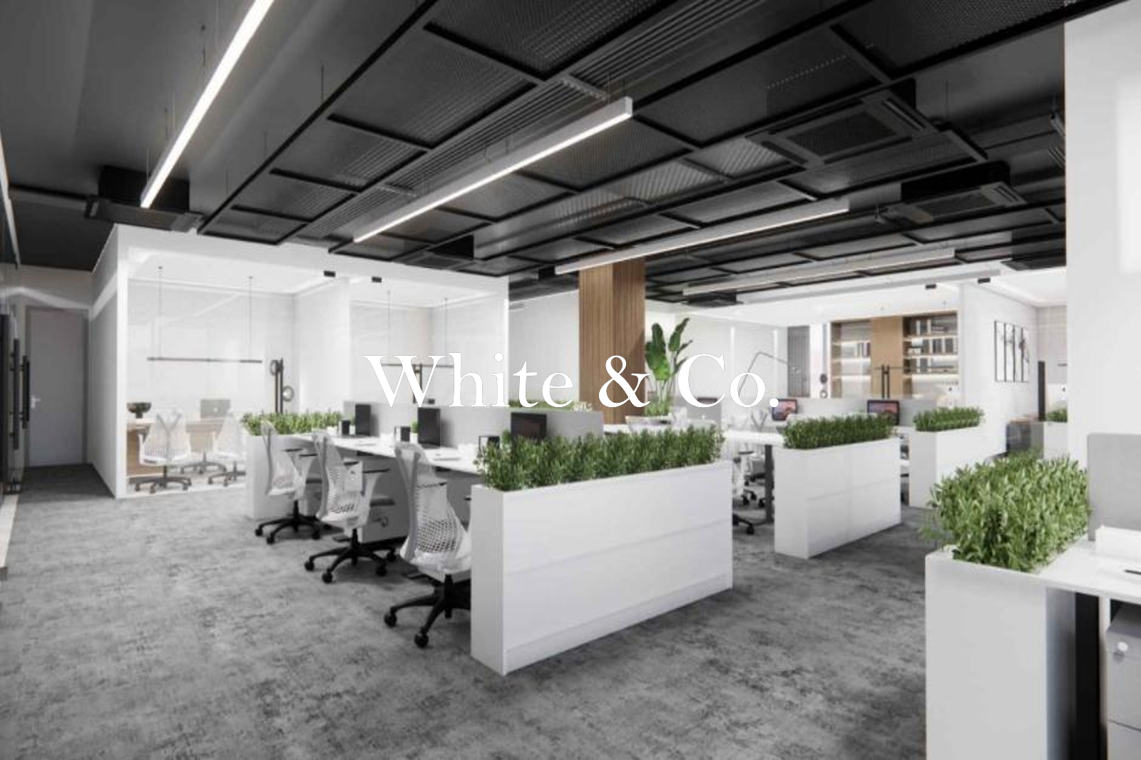 Grade A | Fitted Space | Available Soon