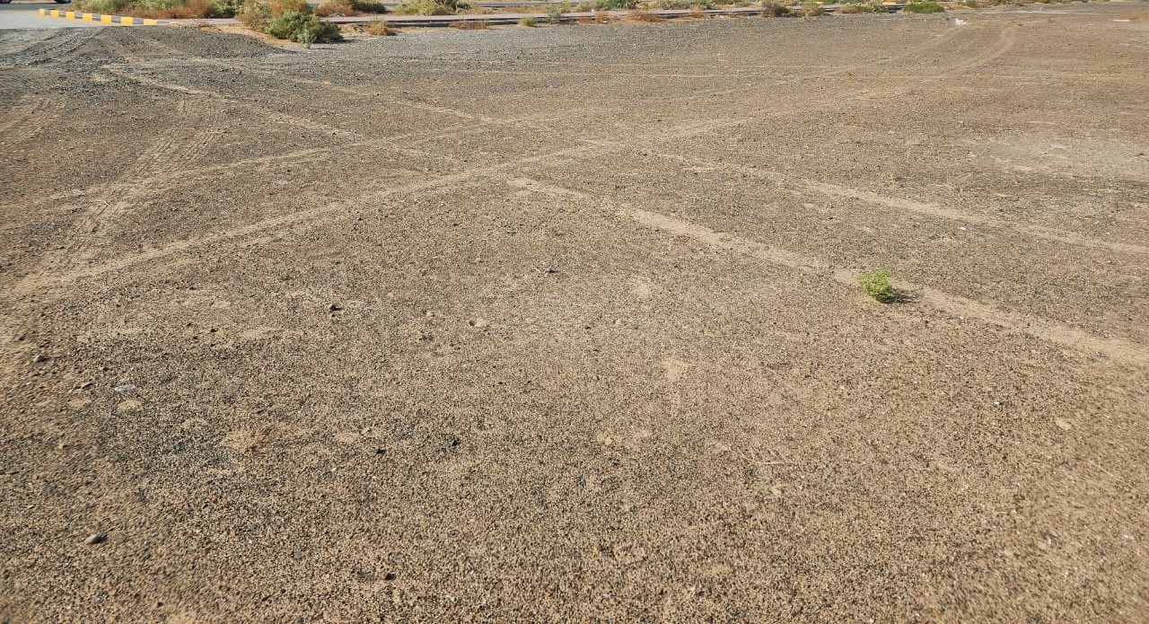 For sale Industrial plot Al dhaid – Sharjah