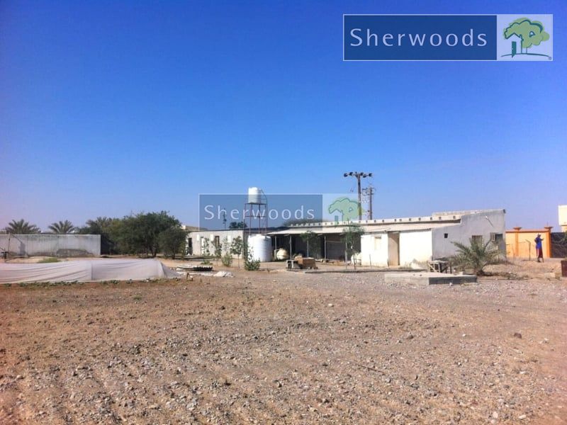Farm For Sale In Ras Al Khaimah – Quiet Location