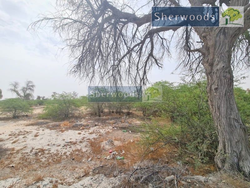 Farm For Sale in Ras Al Khaimah – GCC Only