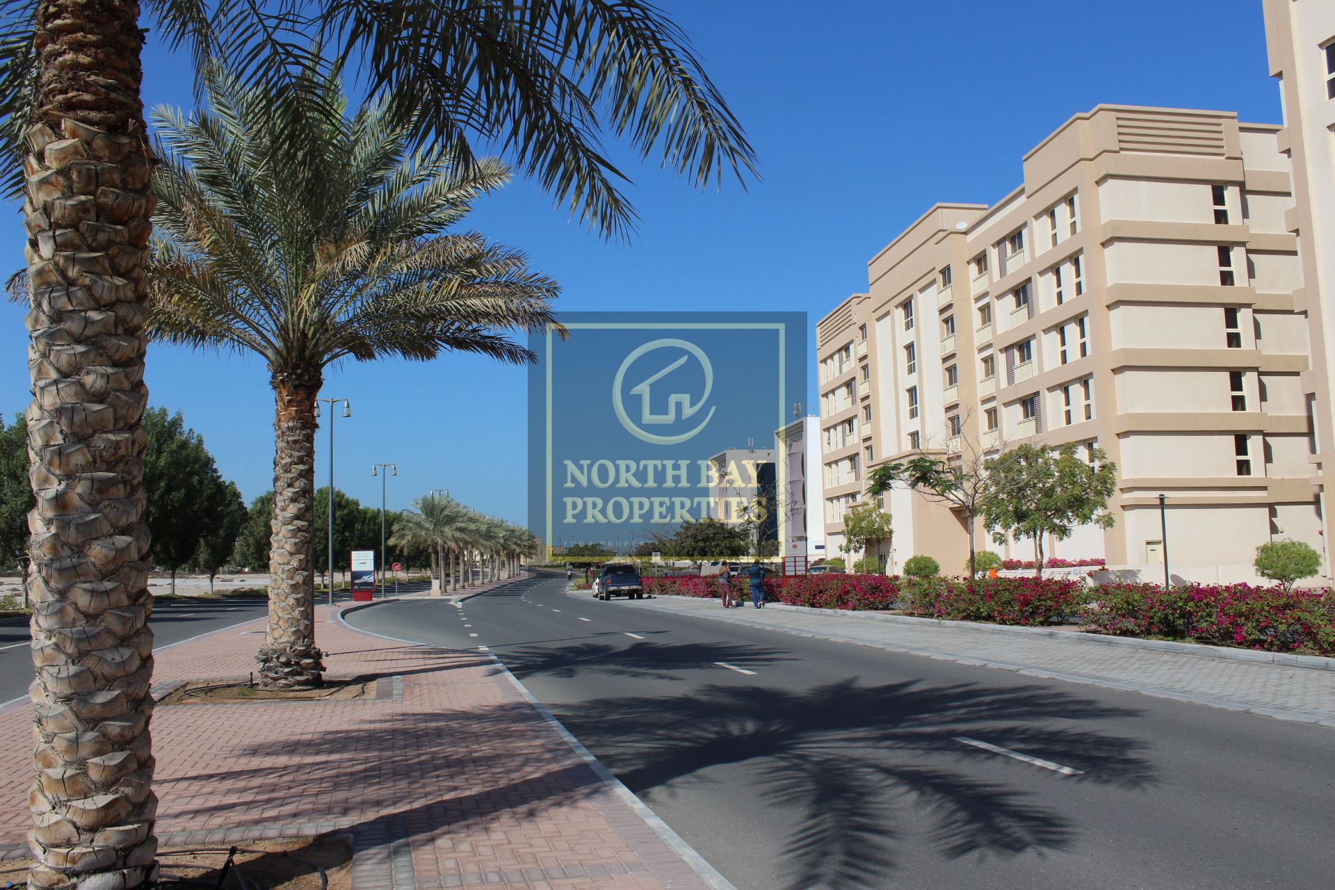 Best Investment | Big Studio | Vibrant Community