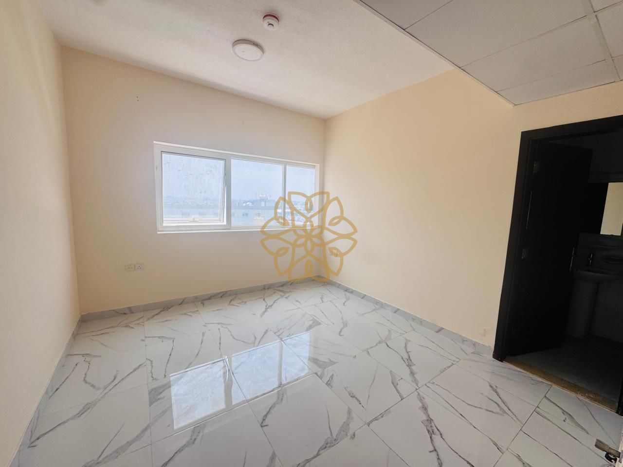 Specious Studio Open View In. AL Butina Big Studio