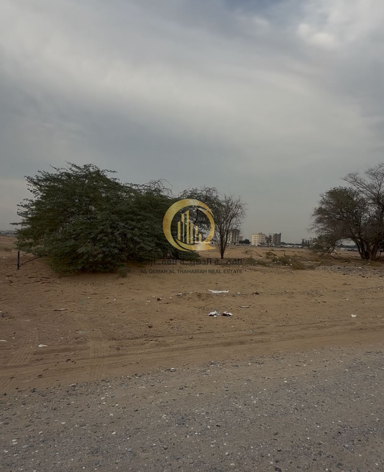 For sale: a very special plot of land in Al-Maliha, directly behind the school, on a corner with two streets, 24 meters each, with an area of 3000 sq