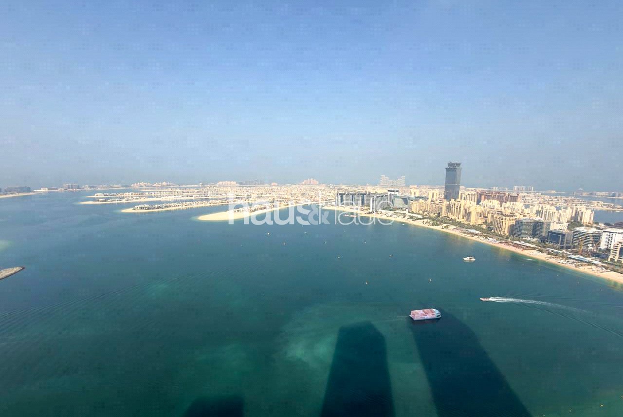 Full Palm Views | VOT | High Floor