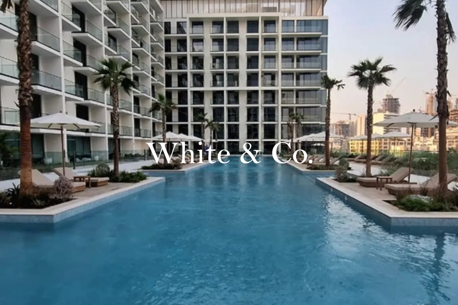 Community View | Flexy Cheques | Top Floor