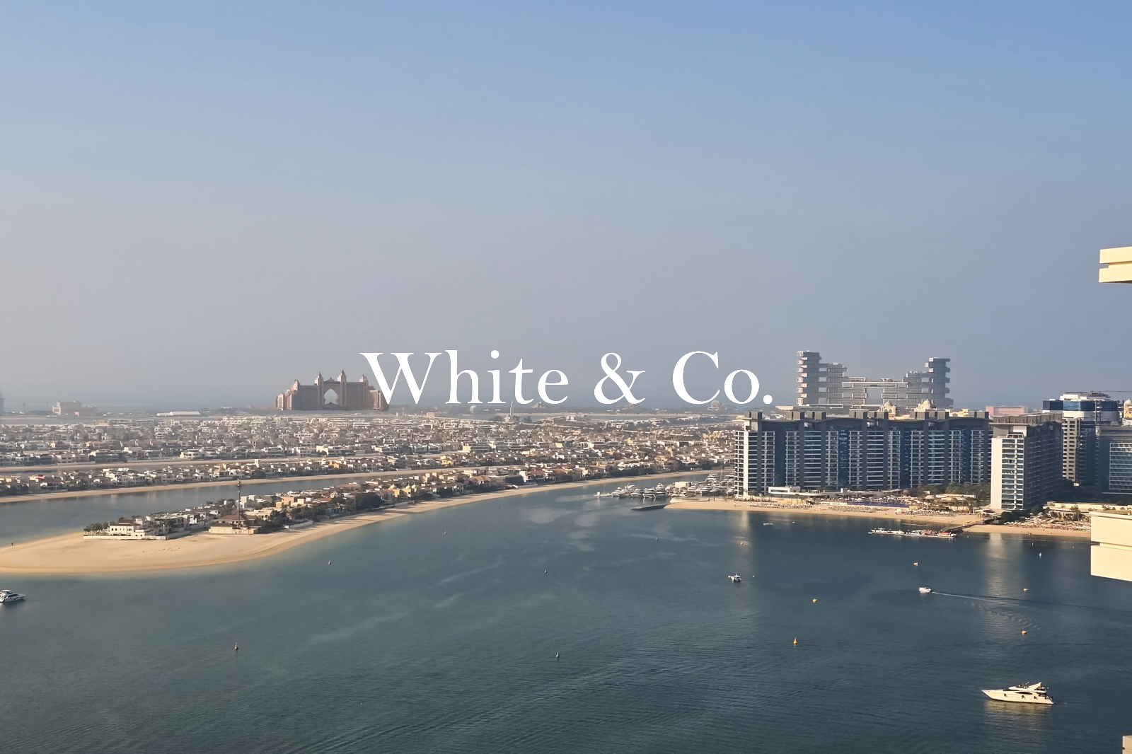 Palm View | High Floor | Furnished Unit