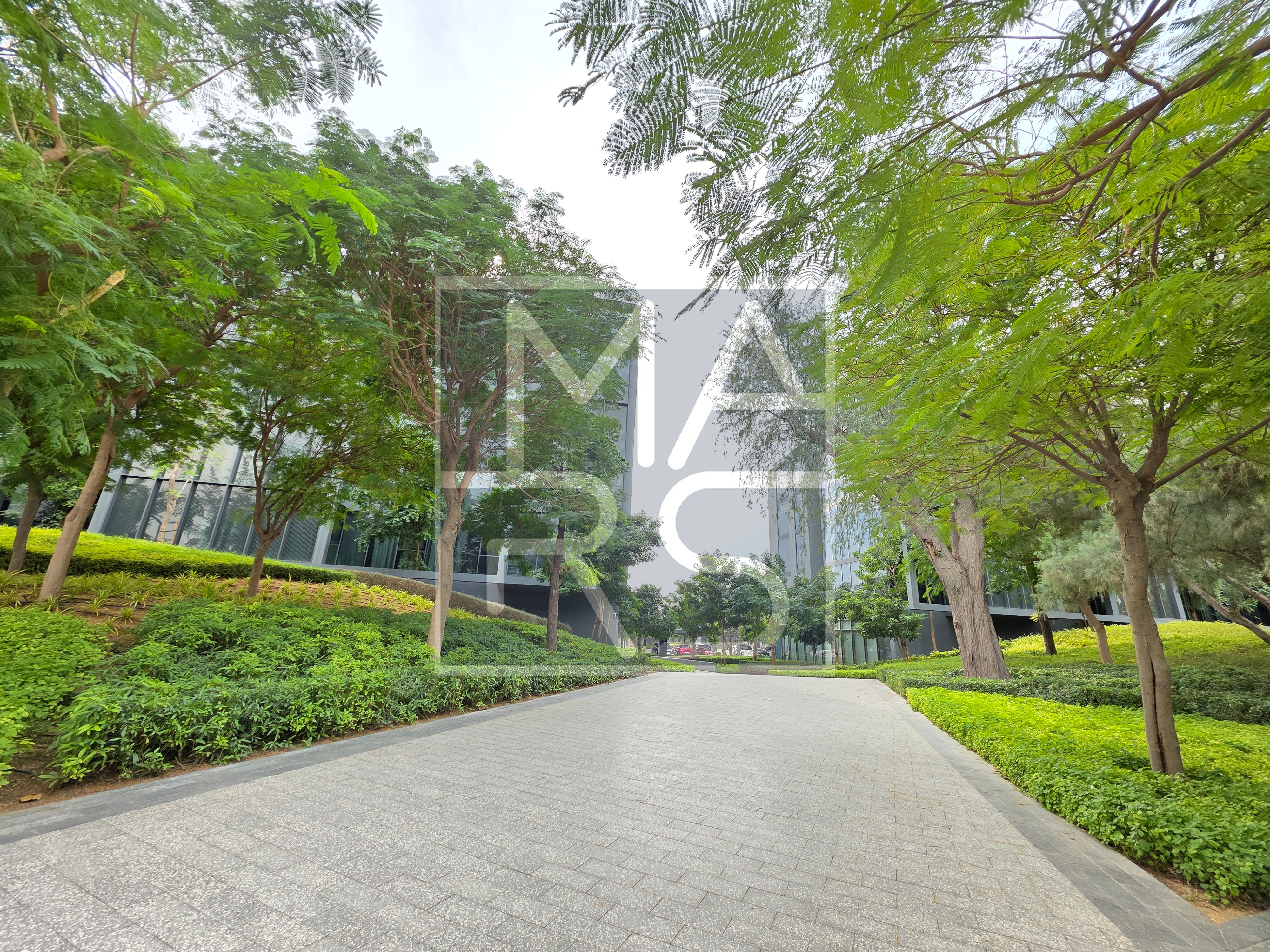 Freehold 3 Bedroom Apartment Lush green View