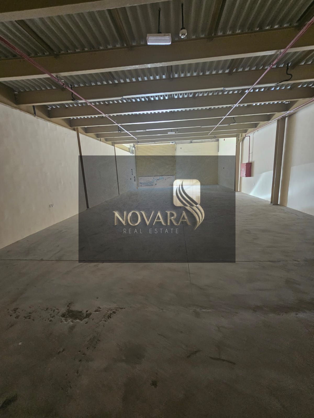 New Warehouse of 3250 sq. ft for Rent in Al Jurf Industrial 1 – A Great Opportunity for Investors and Businesses