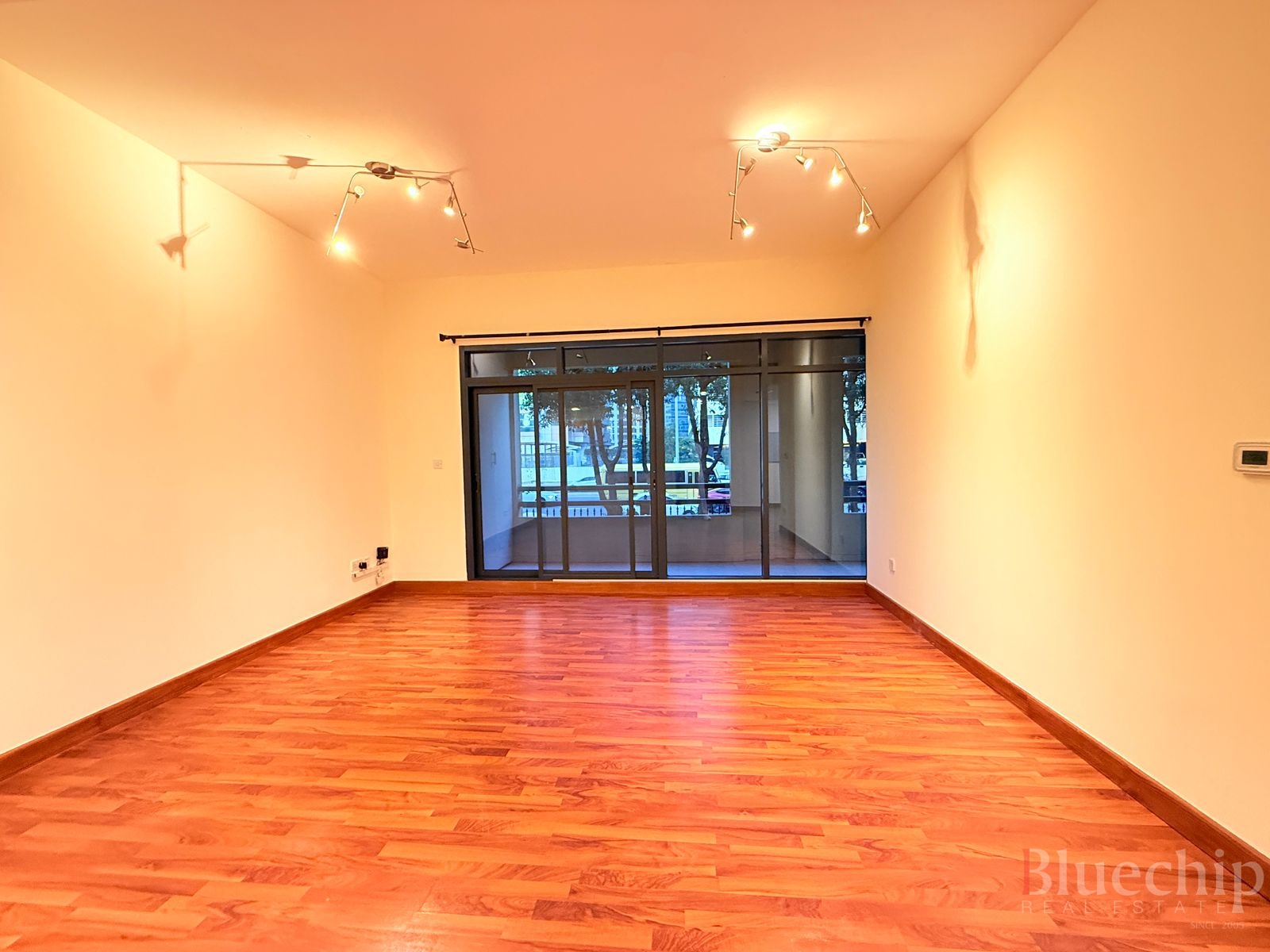 Vacant | Chiller Free | Spacious Layout