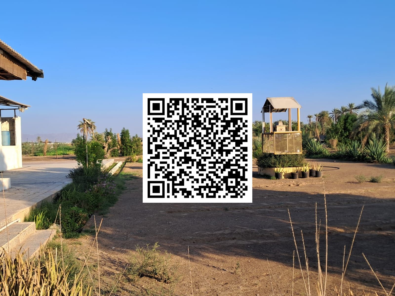 Commercial Farmhouse for Sale | 23,000 sqm | Corner Plot | Al Dhaid, Sharjah