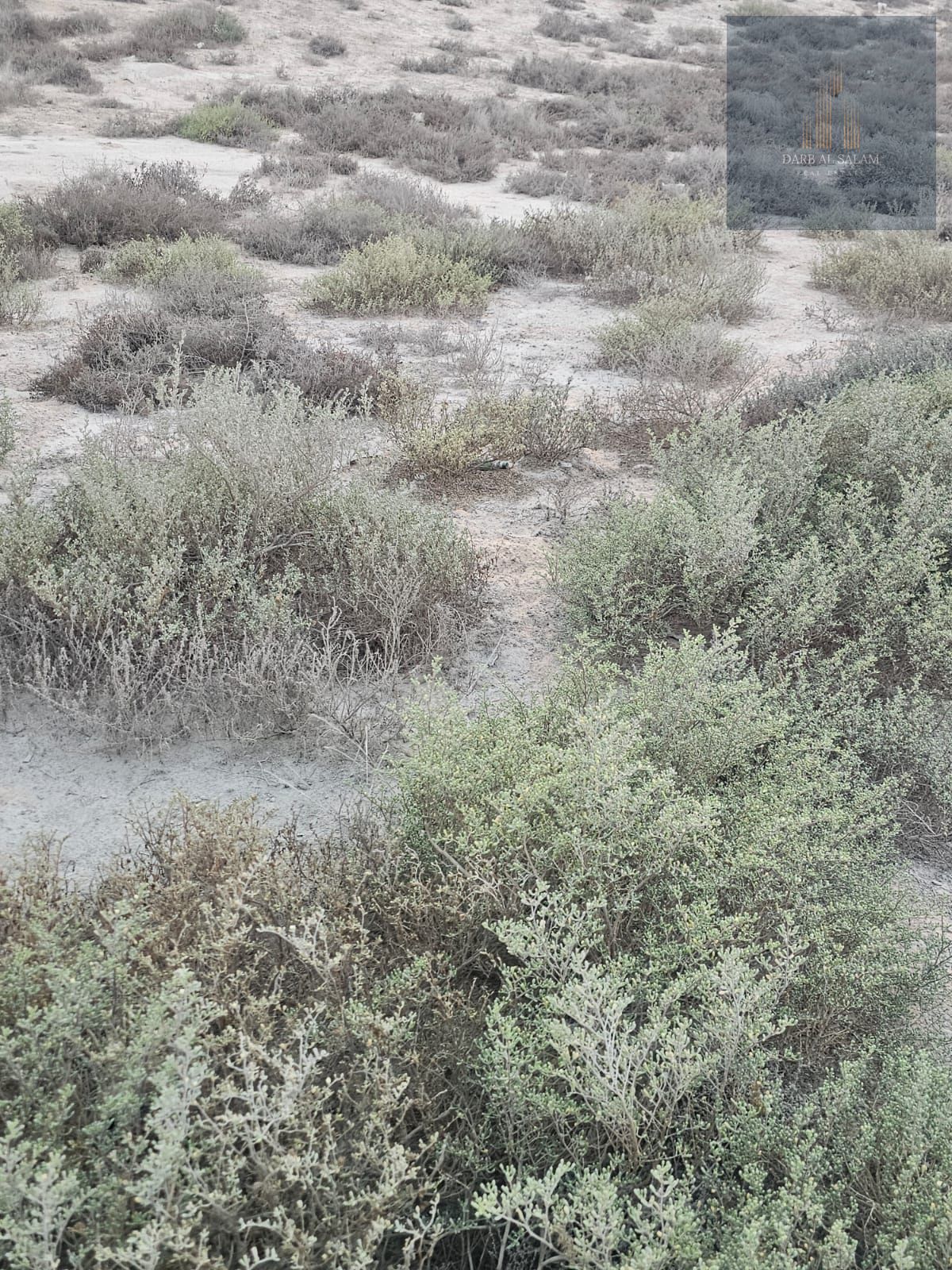 Land for sale in Al Qasimia Industrial Area, Phase 1/ Sharjah