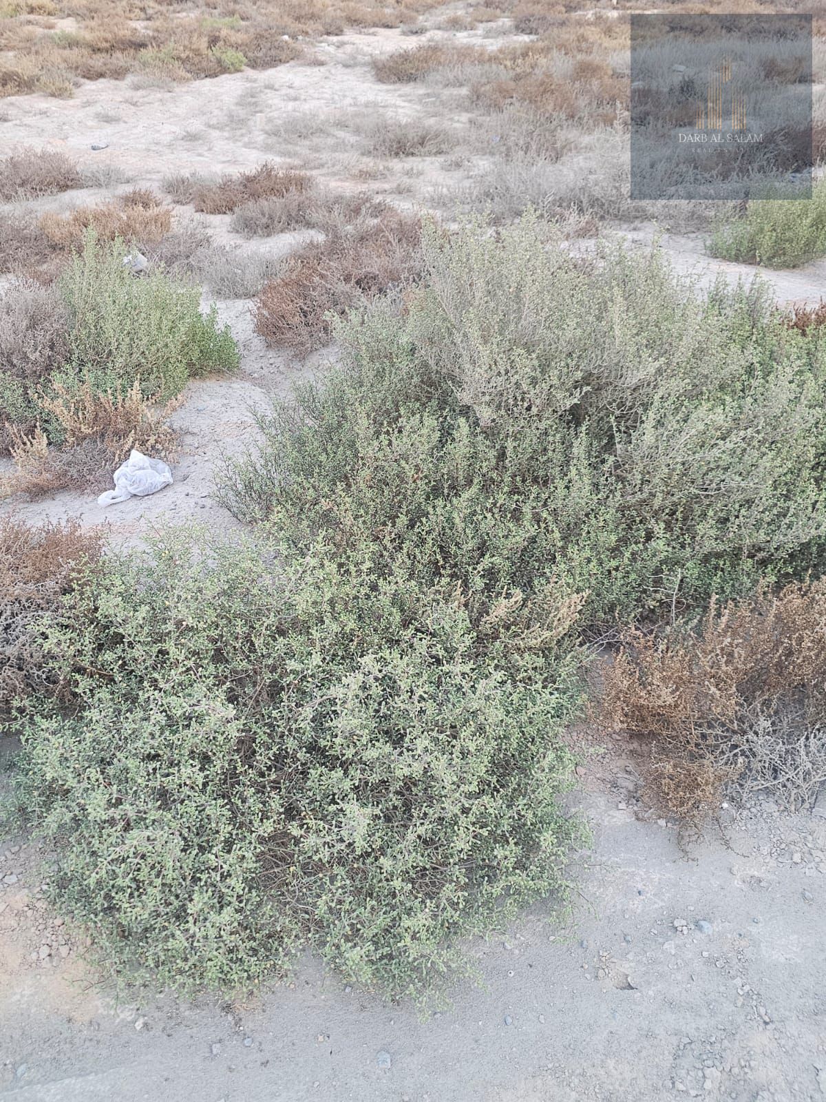 Land for sale in Al Qasimia Industrial Area, Phase 4/ Sharjah