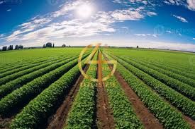 FARM FOR SALE | ALWAQIN | GOOD FACILITIES