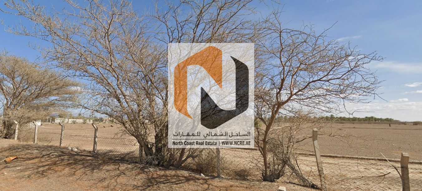 Agricultural Land for Lease | Al Daith – Saih Al Mahab I Sq. Ft 506,900 I AED 1,520,700 / Year
