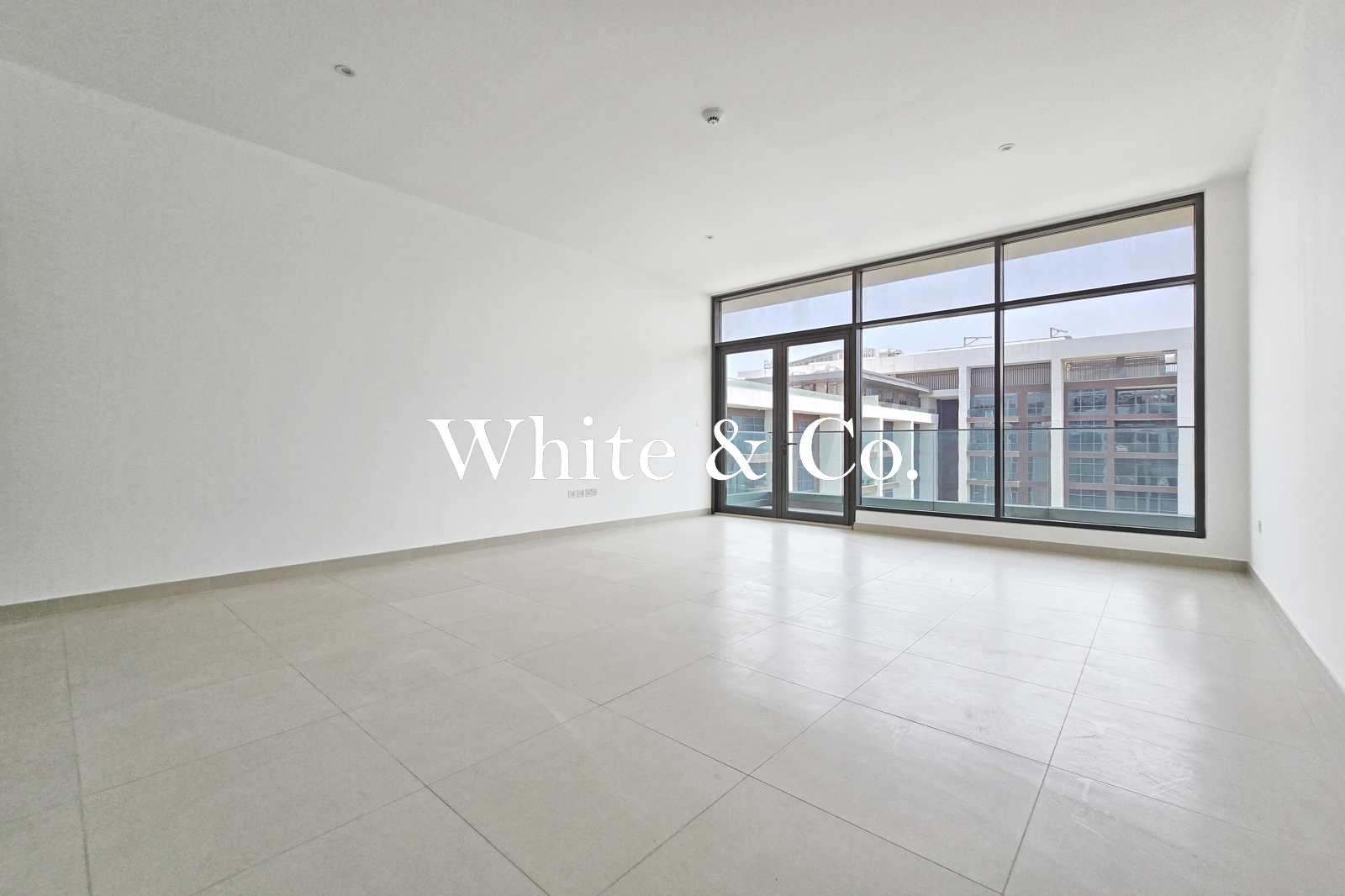 Exclusive | Park and Pool | Large Layout