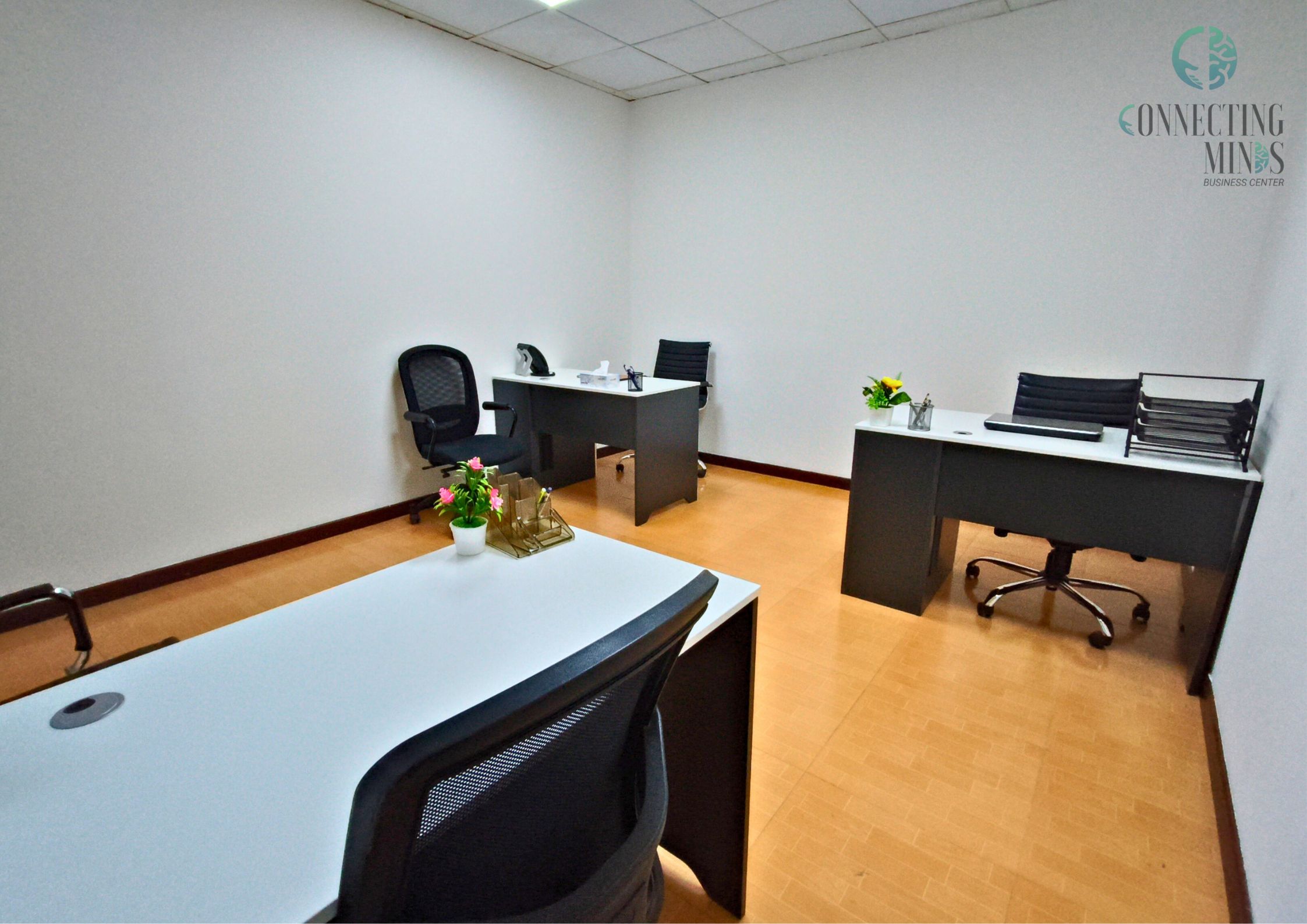 Elite Serviced Office | Ready for Immediate Occupancy