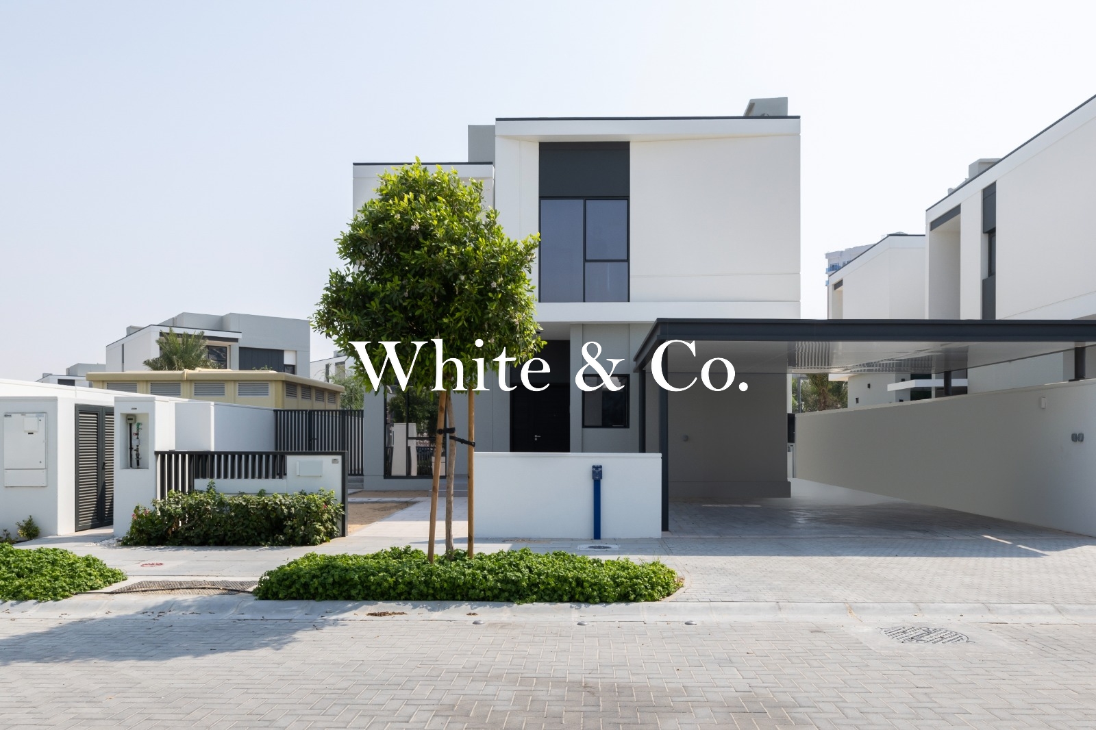 Single Row | Landscaped | Park Backing