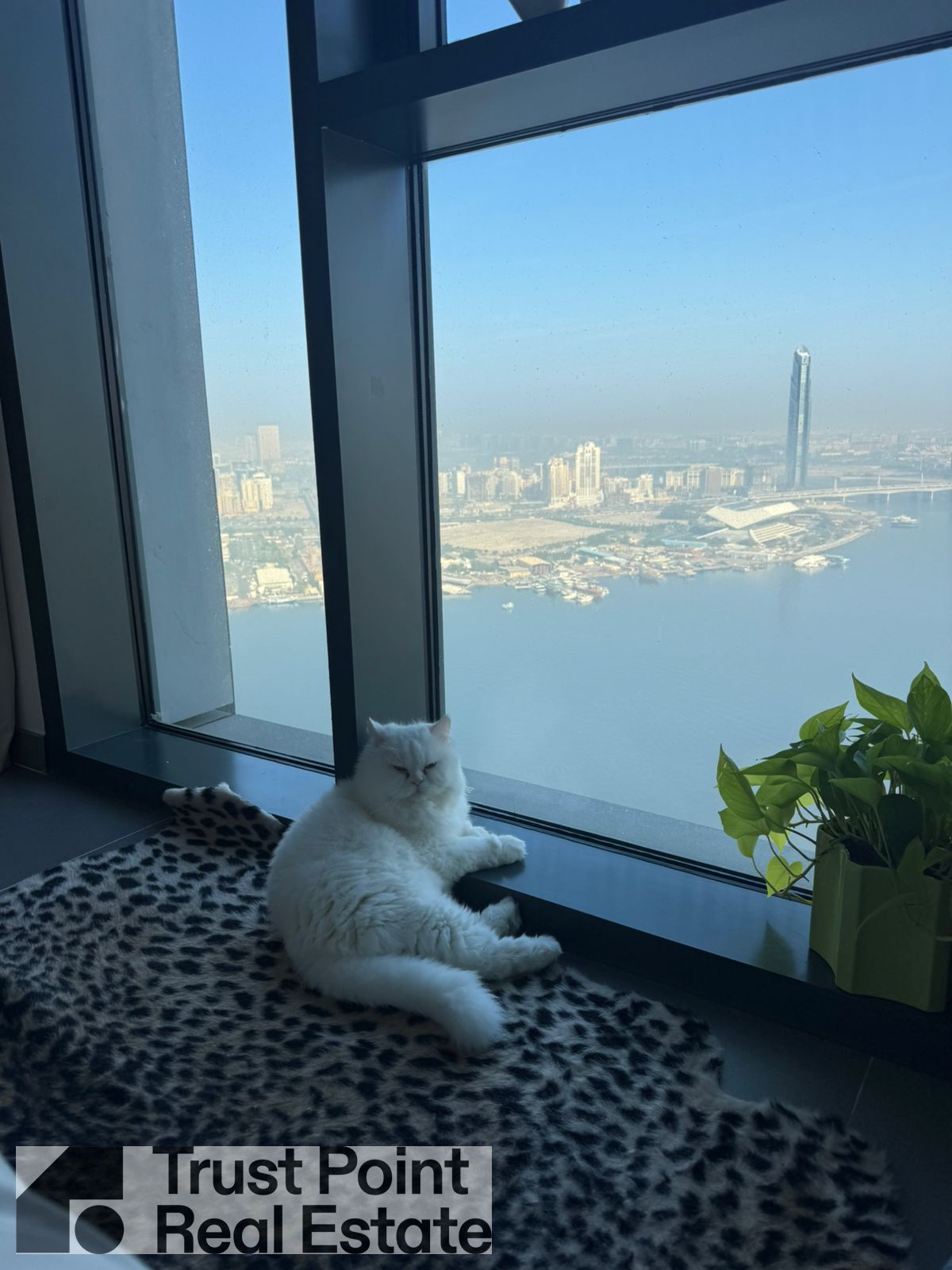Penthouse | Luxury | Full Creek View | Direct From Owner