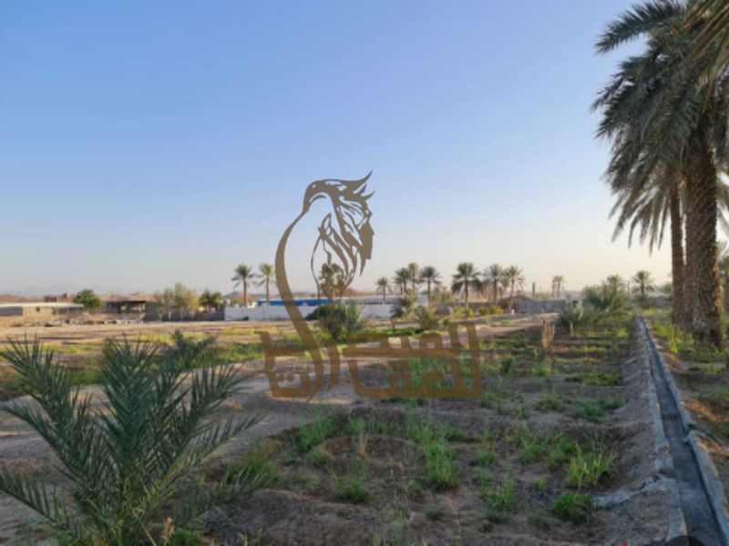 Farm for Sale – Mowailah RAK