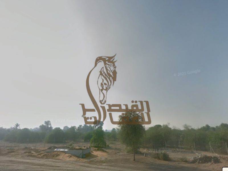 Agricultural Land for Sale – Al Shagi Ras Al Khaimah | High Investment Potential with Development Prospects