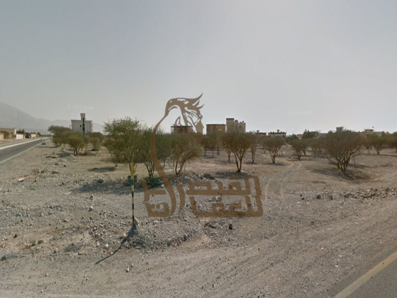 Exceptional Farm with Rare Location on Main Road | Al Daqdaq – Ras Al Khaimah