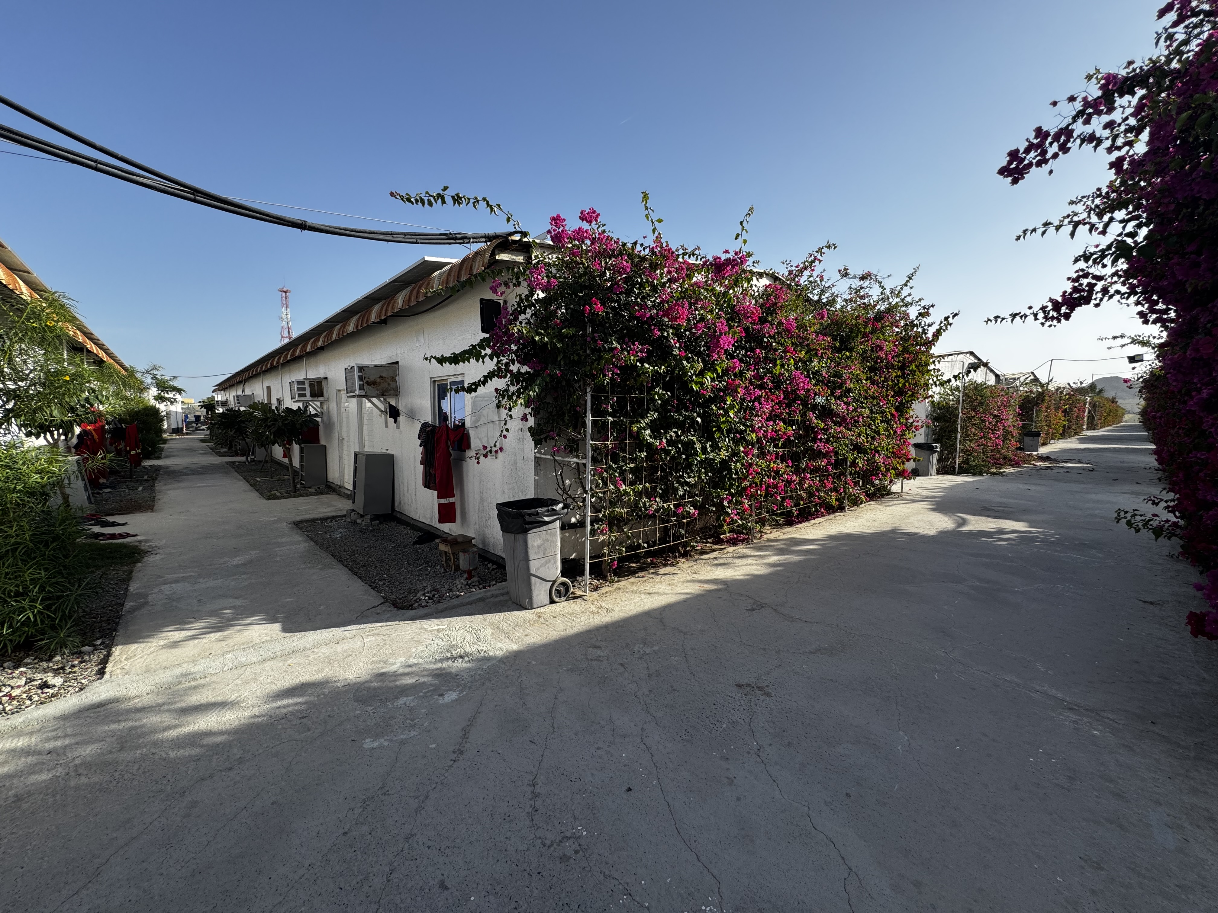 Room rent for labour camp 300 rooms capacity 8 persons