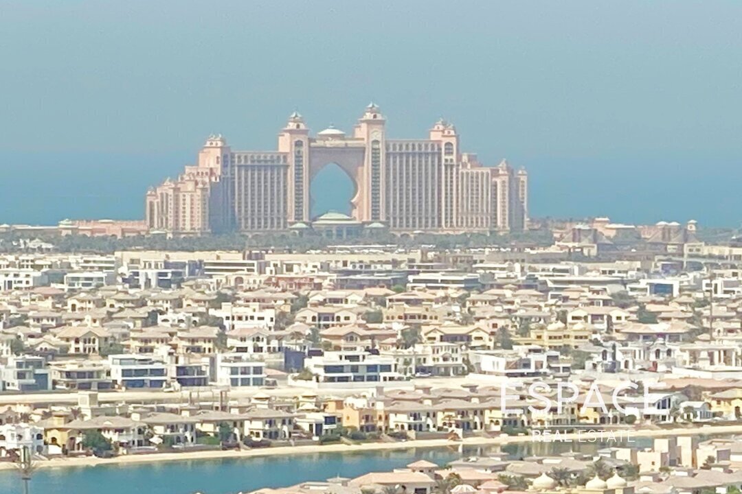 Chiller Free | High Floor | Palm view