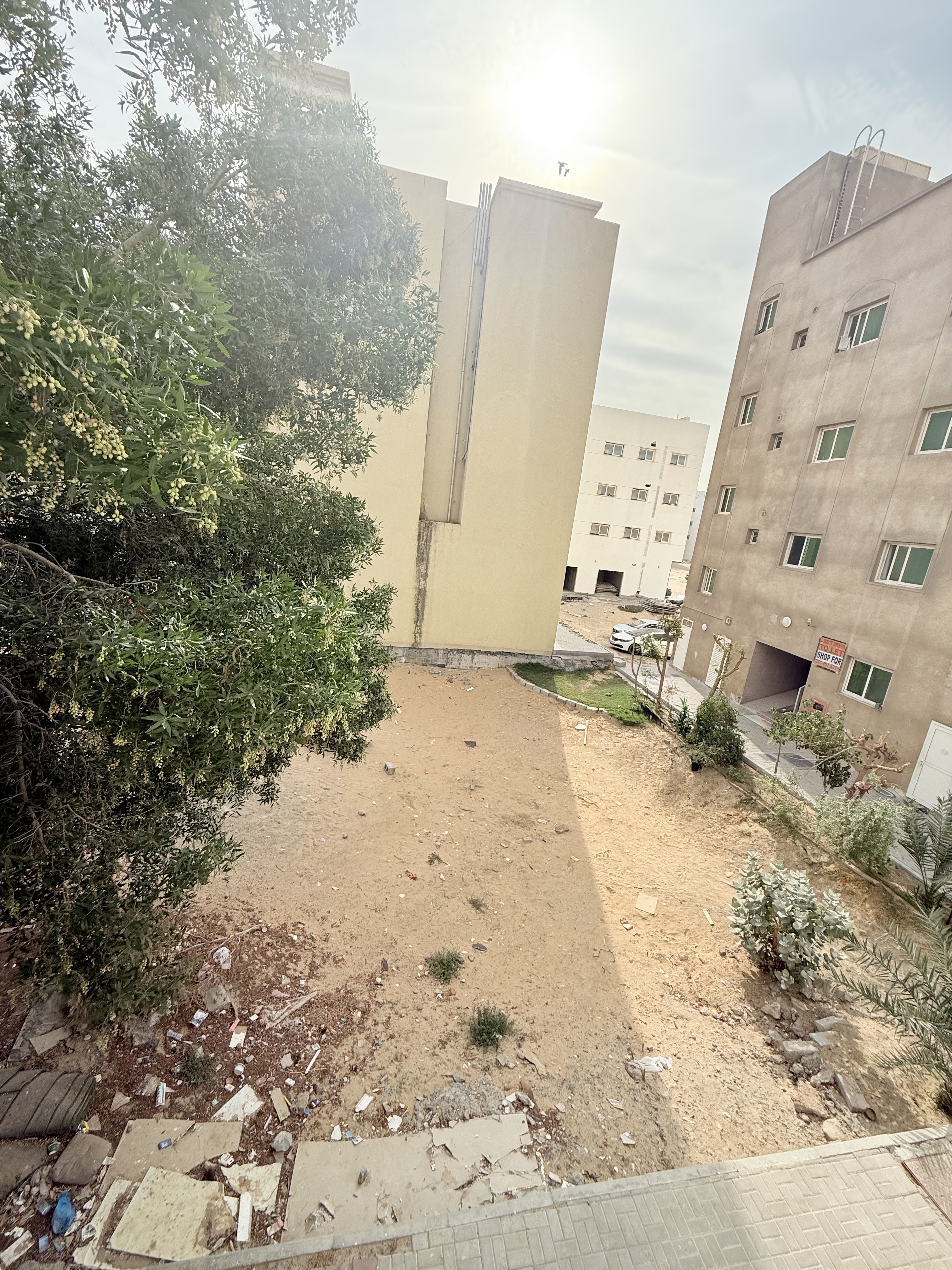 Levish studio school AERA Muwaileh Sharjah only 18k