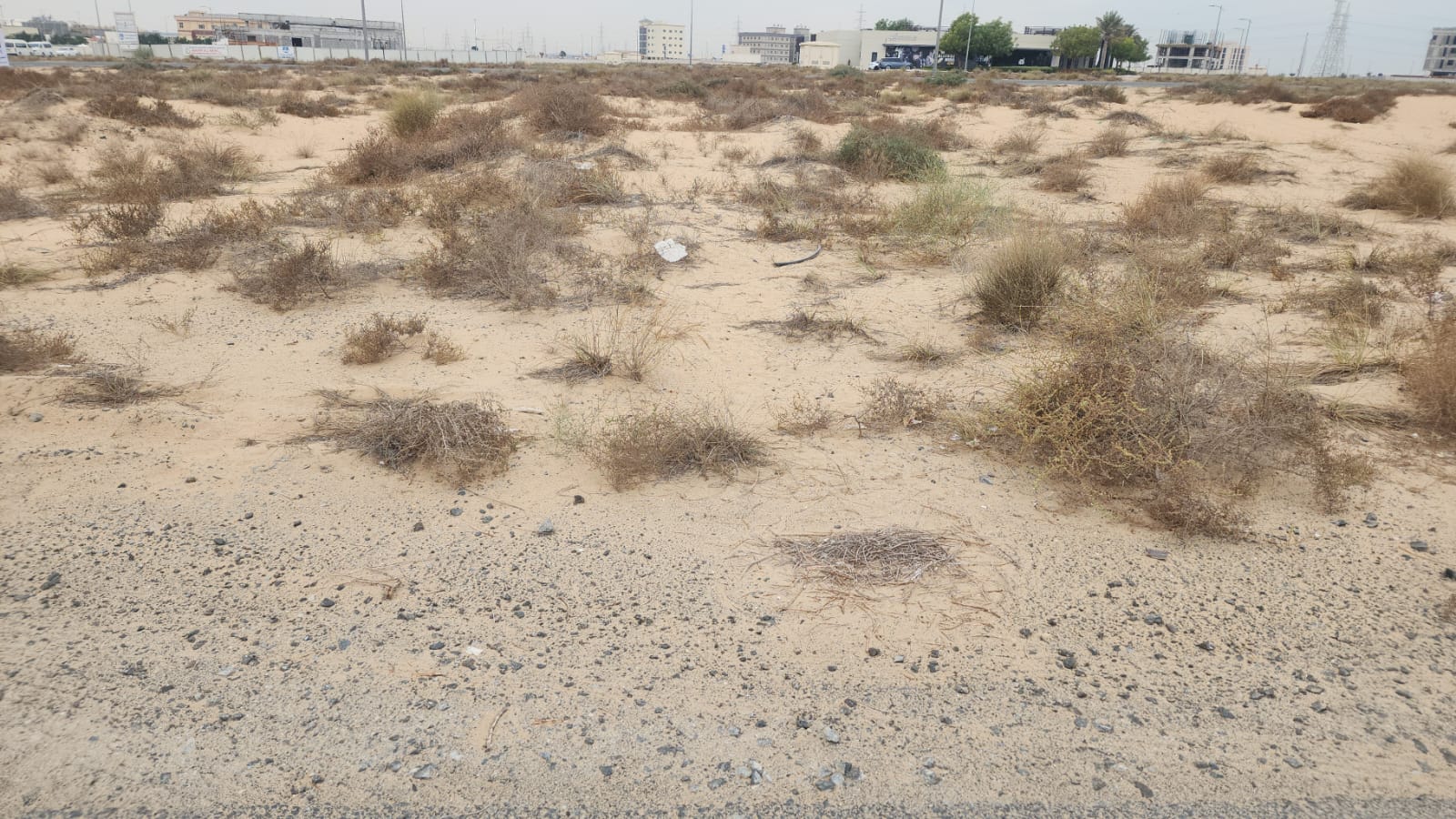 For sale Investment residential plot Maysalon – Sharjah Permitted G Parking + 2 Floors