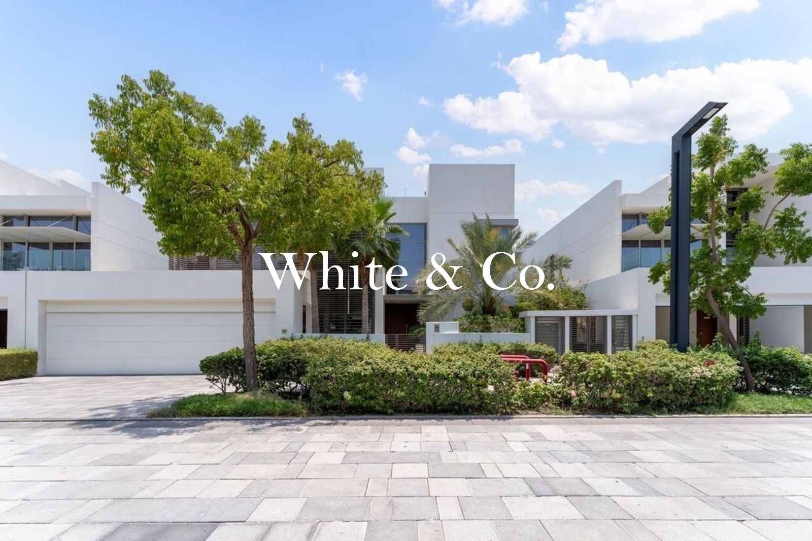New to Market | Internal | VOT | Type B