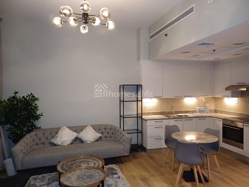 Large layout | Modern Studio | Fully Upgraded