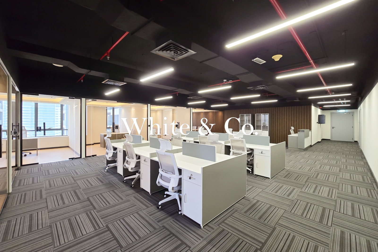 Premium Location | Fully Furnished | Brand New