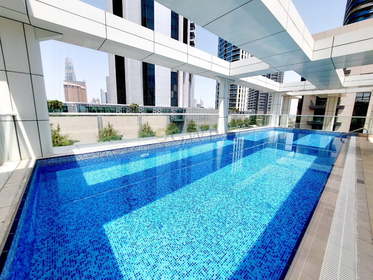 Live The Dream | Infinite Pool | Modern Design