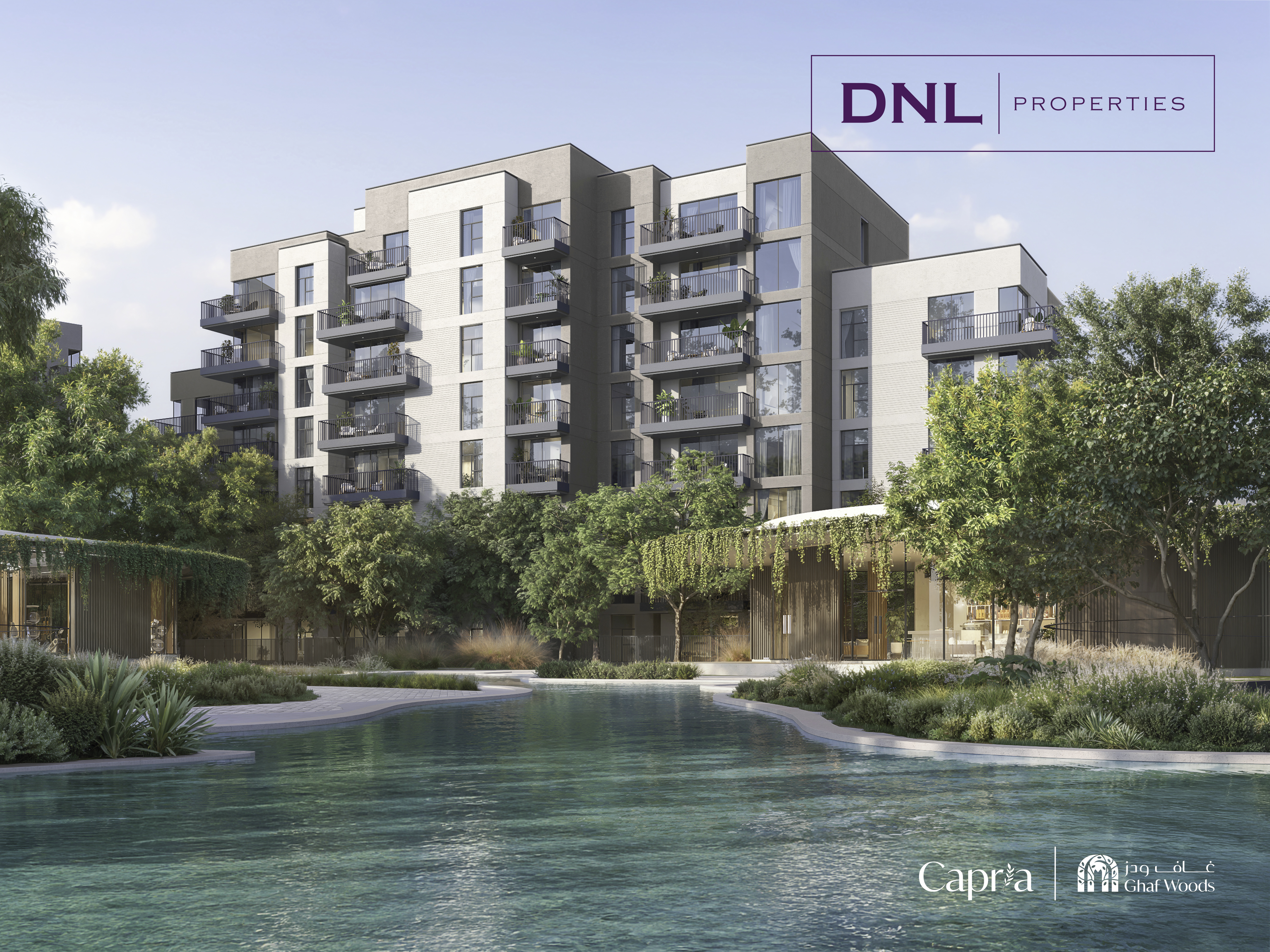 OP Plus DLD // High Floor // Forest View