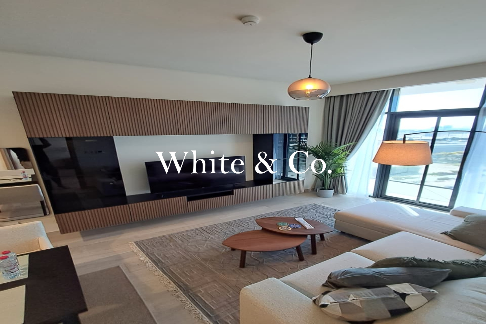 Fully Furnished | Chiller Free | Vacant