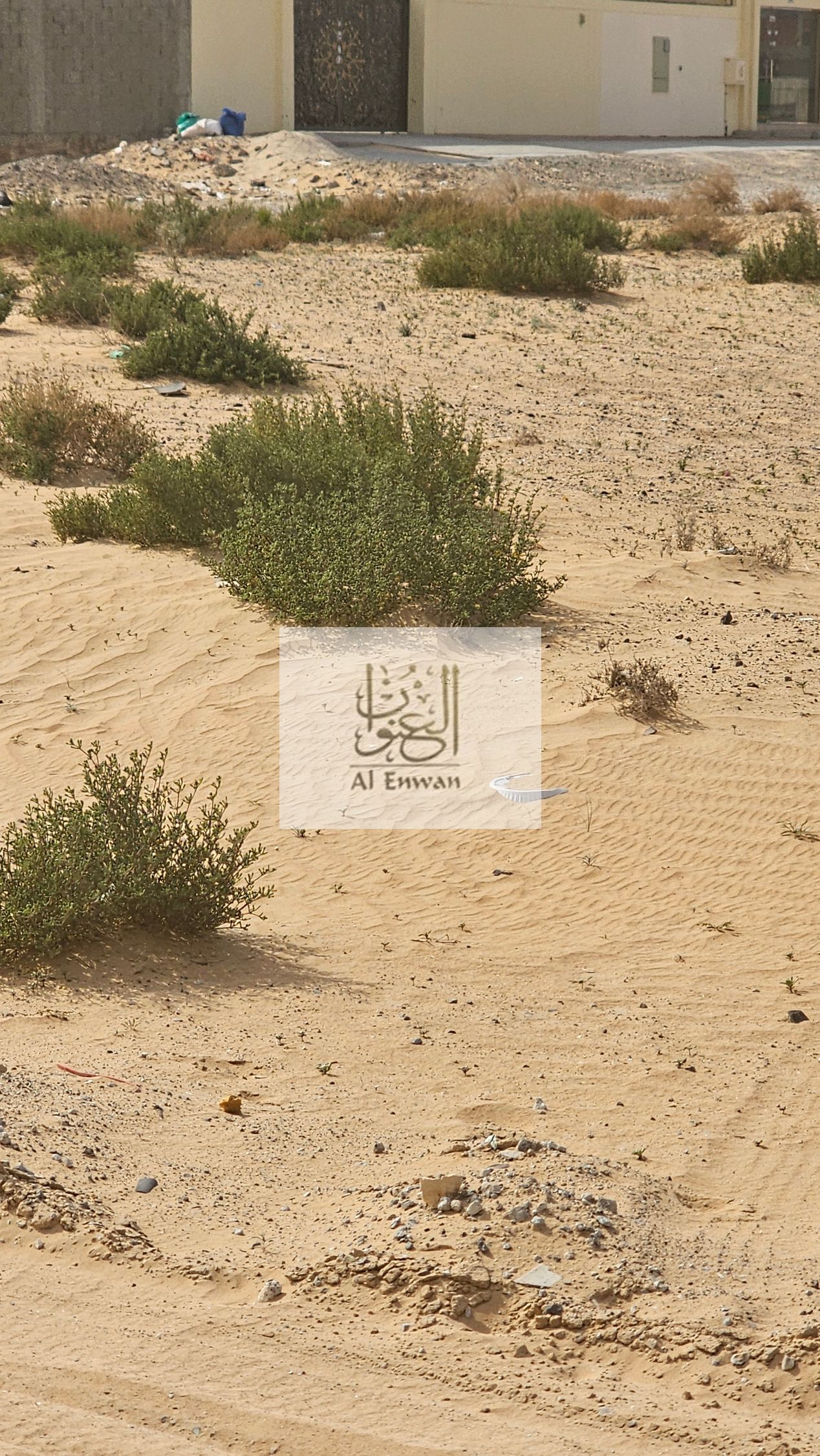 Land for sale in Al Sajaa, 10,000 square meters (S)