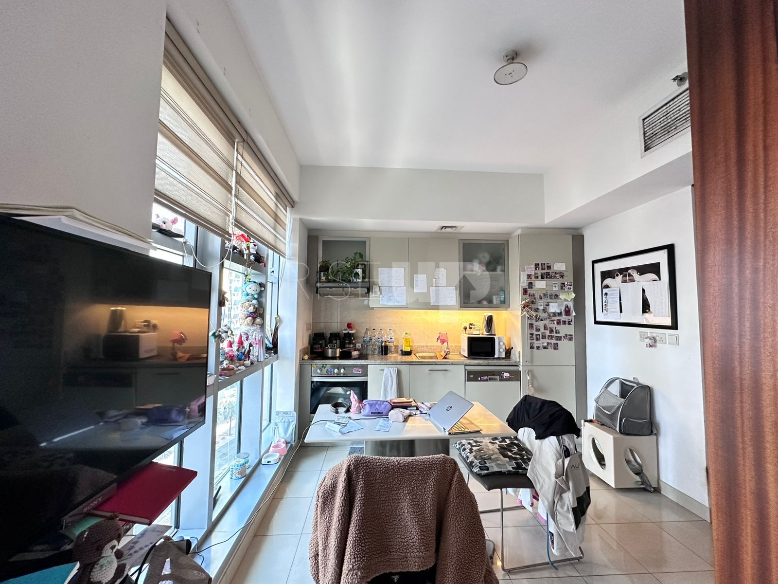 Fully furnished | Spacious | Free Chiller