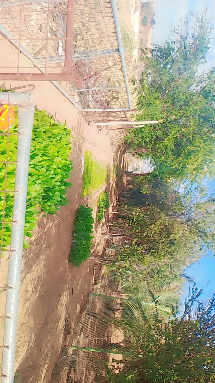 For Sale: Private Farm with Villa – Al Falag / Al Mualla