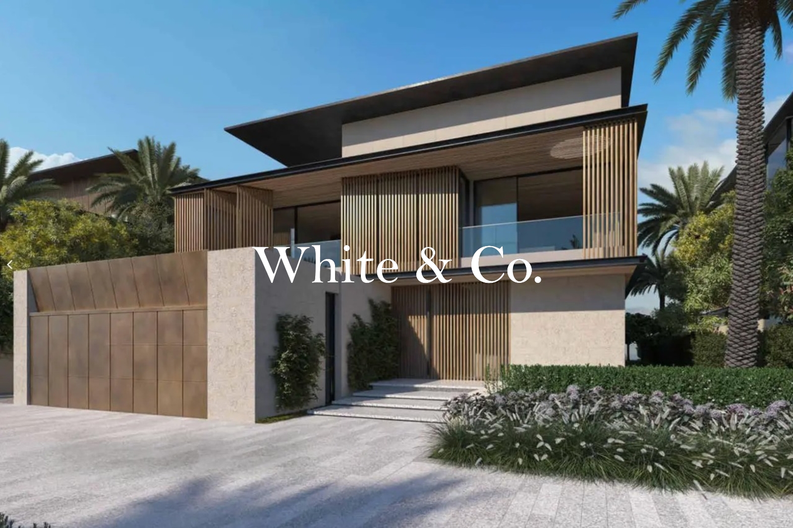 Perfect Location | Frond Backing | Rare