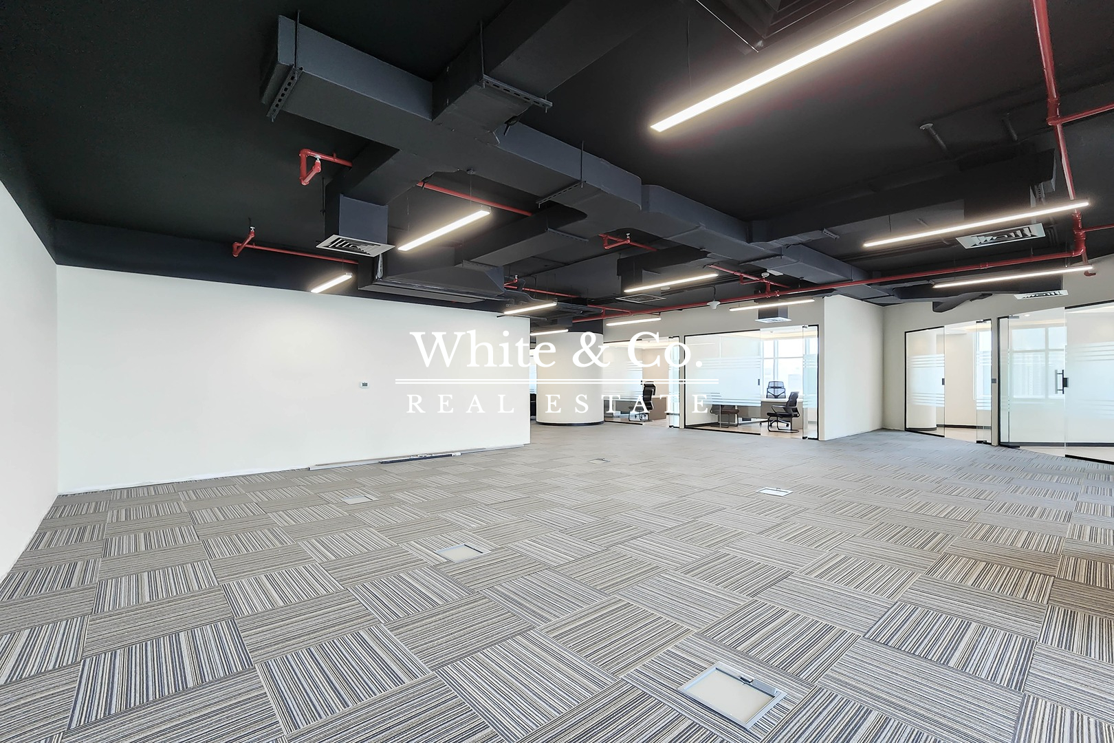 Large Space | Fitted | Prime Location
