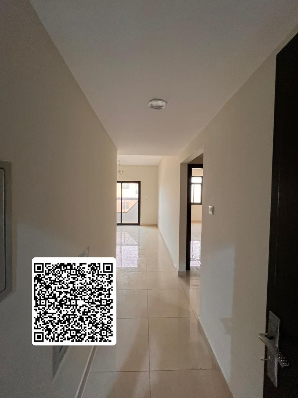 New Flat For Rent Jurf 3